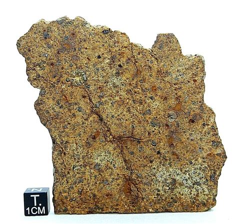 Oyo Ll4 Meteorite Chondrite Oyo Meteorite Ebay
