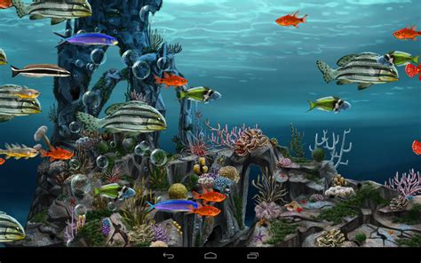 Wallpaper Animasi 3d Aquarium Bergerak Terlengkap Dan Terupdate Top
