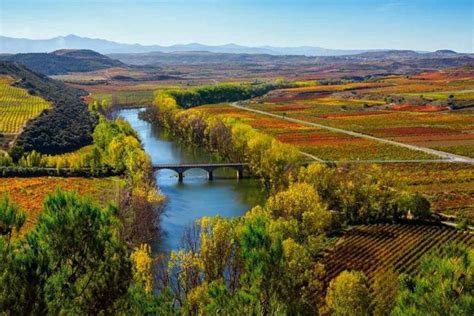 Rioja Alta And Rioja Alavesa Wine Tour 2024 Pamplona