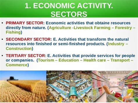 Unit 4 Economic Activities