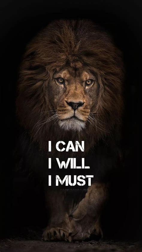 Lion Attitude Wallpapers Wallpaper Cave