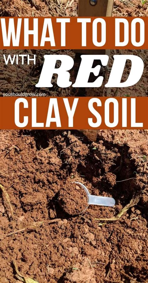 Gardening In Red Clay Soil Its Not So Bad Amending Clay Soil