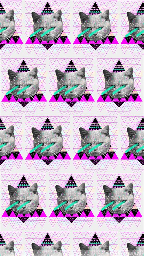 Hipster Cat Iphone Wallpaper