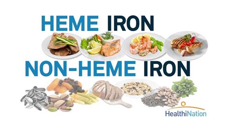 Iron Rich Foods The Essentials Of Iron Healthination Youtube