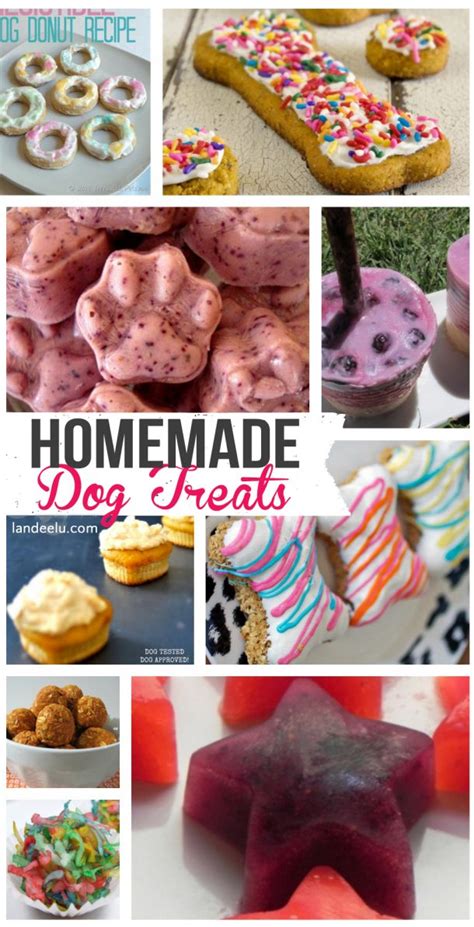 Supplies for making homemade dog treats: Homemade Dog Treat Recipes | landeelu.com