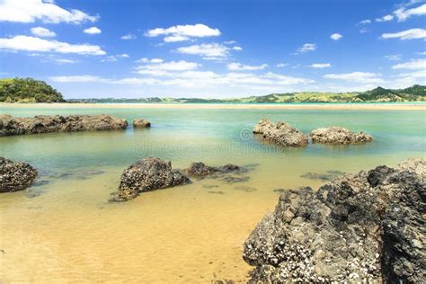 Beautiful Sea Landscape In New Zealand Stock Image Image Of Rest