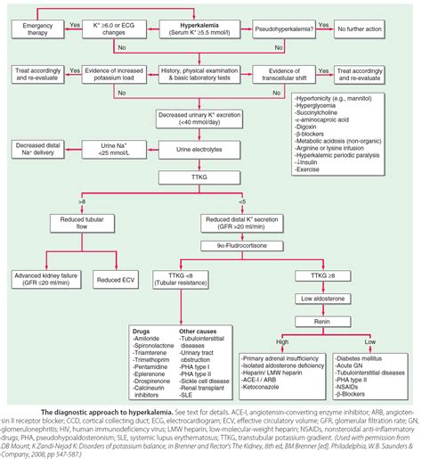 The Diagnostic Approach To Hyperkalemia Drugs Grepmed