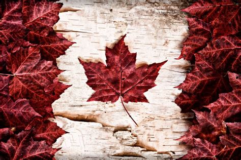 Ja 46 Lister Over Maple Leaf Wallpaper Canada Flag 1332x850