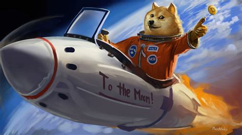 2560x1440 Doge To The Moon 1440p Resolution Hd 4k Wallpapers Images