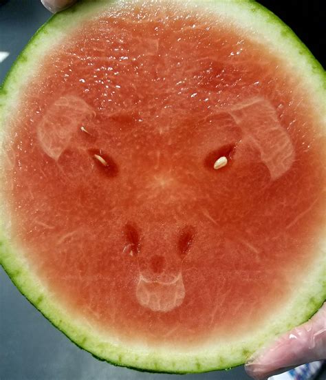 This Slice Of Watermelon Looks Like It Has An Evil Face