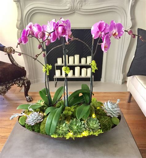 Our Grandest Orchid And Succulent Arrangement Absolutely Stunning In A 30 Oblong Hand