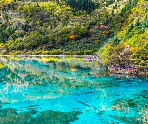 Azure Lake With Trees Bing Wallpaper Download