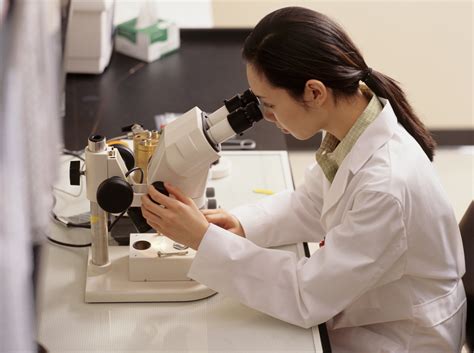 Learn the basics of how to use a. What Is the Function of a Microscope? | Sciencing