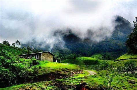 The Best Things To See And Explore In Munnar