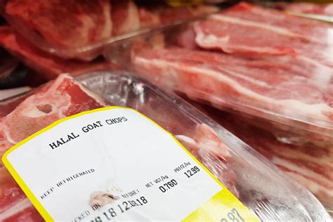 Melancong.my | melancong.my adalah sebuah jenama & laman online penyedia panduan serta pakej pelancongan. MELANCONG KE NEW ZEALAND DAN BELI MAKANAN MENTAH HALAL