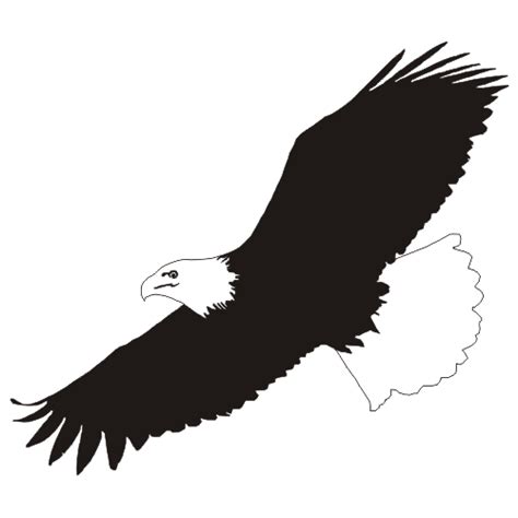 Bald Eagle Clipart Flying Clip Art Library