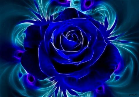 Download Single Blue Rose Wallpaper By Josephm62 Blue Rose