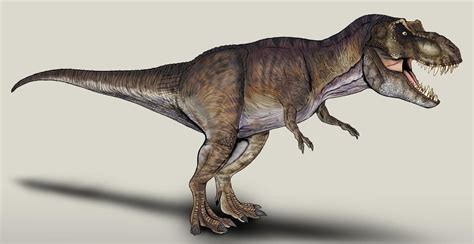 Jurassic Park T Rex By Nikorex On Deviantart ไดโนเสาร์ ศิลปะ