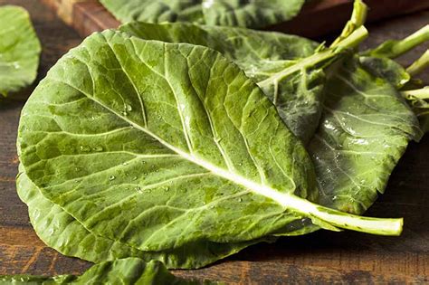 How To Grow Collard Greens Gardeners Path