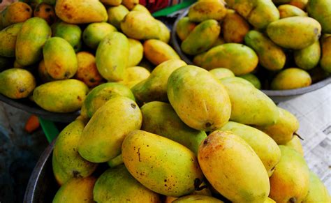 10 popular indian mango varieties
