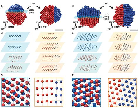 Critical Differences In 3d Atomic Structure Of Individual Ligand