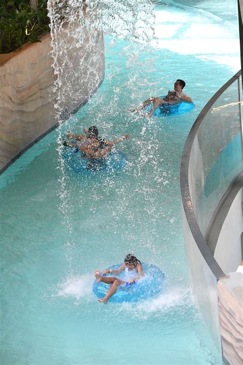 Ocean Park launches fast pass for new Water World | The Standard
