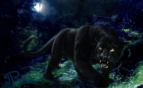Black Panther In Forest By Artbyjpp On Deviantart