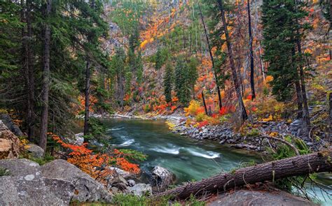 Autumn River