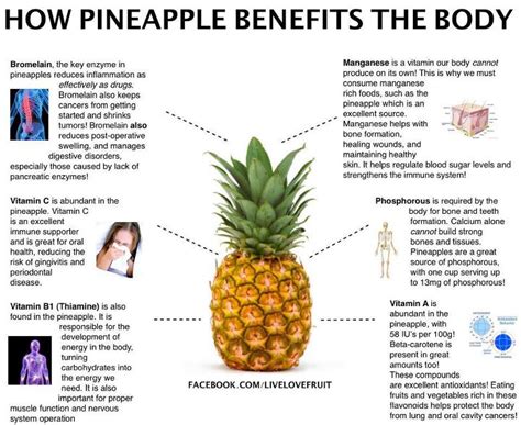 The Health Benefits Of Pineapple Infographics By
