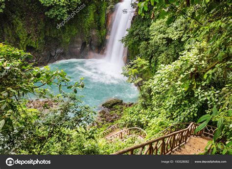 Majestuosa Cascada Selva Tropical Costa Rica Caminata Tropical
