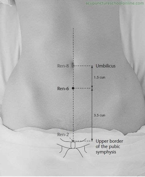 Acupuncture Point Ren 6 Sea Of Qi Qihai Able To Treat Impotence Seminal Emission