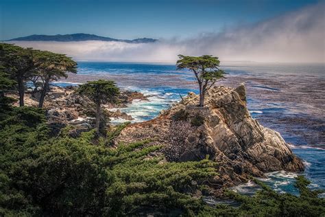 Hd Wallpaper Lone Cypress Monterey Peninsula California Pacific