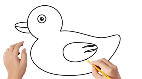 Cómo Dibujar Un Pato Dibujos Sencillos Youtube