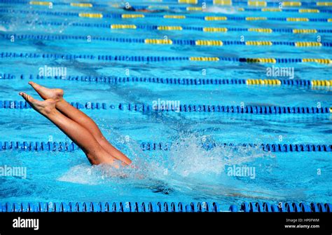 Female Swimmer Diving Into Pool Stock Photo Alamy