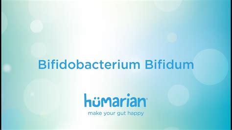 Bifidobacterium Bifidum Youtube