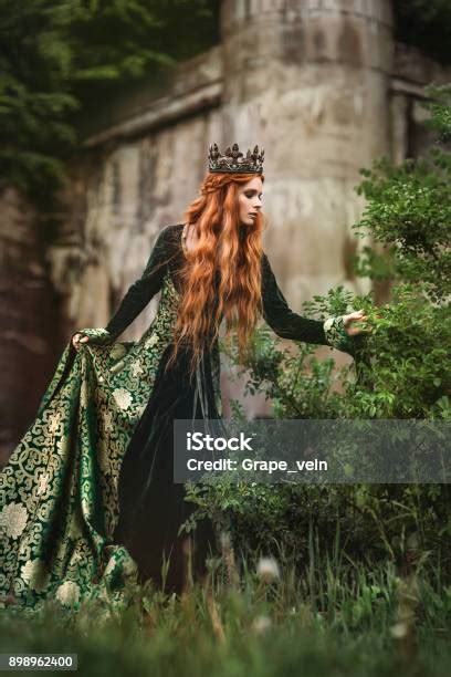 Ginger Queen Near The Castle Stock Photo Download Image Now Green