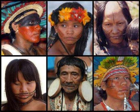 Amazonian Tribal Warfare Sheds Light On Modern Violence Anthropologist