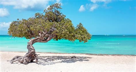 25 Best Things To Do In Aruba