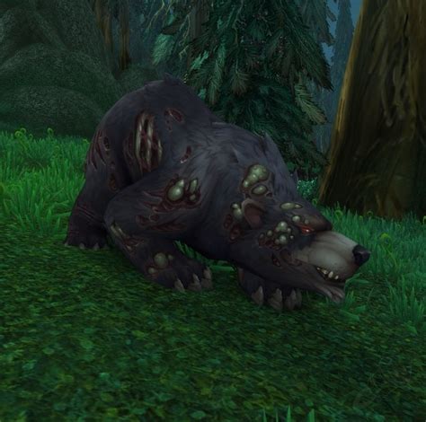 Pets might have been in wow a long time, but they perhaps did not become quite as complex until they hit wotlk. Wow How To Get Level 25 Pet Guide