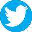Download Twitter Logo Png Transparent Background  PNG