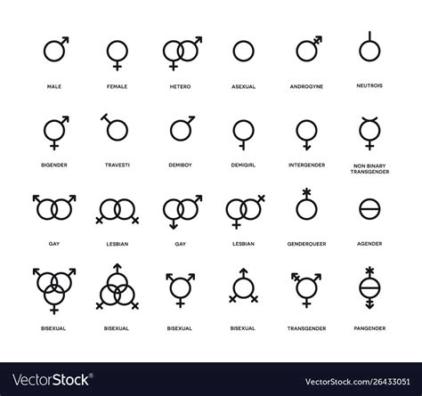 Gender Symbols Set Sexual Orientation Icons Male Vector Image