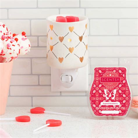 Scentsy Valentines Day Packages Shop Valentines Ts Online