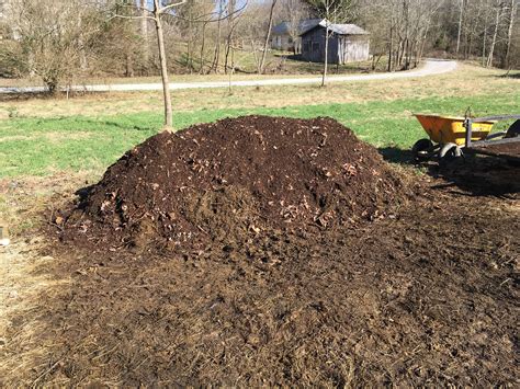 When To Put Cow Manure On Lawn Arabic Blog