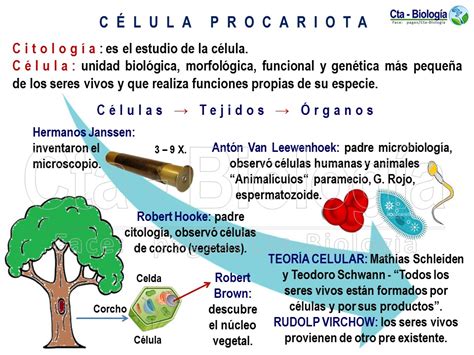 Biología Didáctica Nsc 5° Bio Célula Procariota
