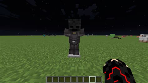 I Think Netherite Armor Wither Skeleton Skull Is A Cool Combo And U