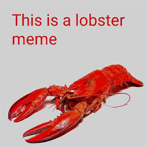 This Is A Lobster Meme Rantimeme