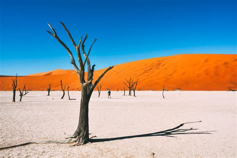 11 Very Best Places In Namibia To Visit Hand Luggage Only Travel