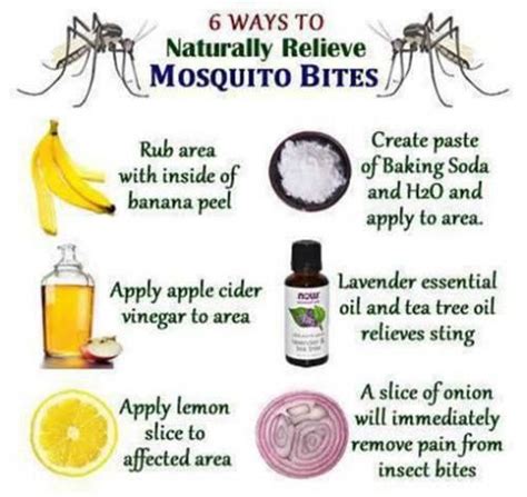 6 Ways To Relieve Naturally Insect Bites Natural Mosquito Bite Remedy
