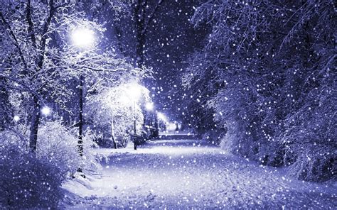 Amazing Winter Night Frozen Tree In Winter Hd Wallpaper