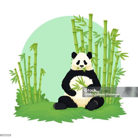 Giant Panda Sitting And Eating With Bamboo Forest In The Background